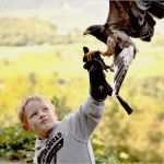 Urkunde Patenschaft Kind Vorlage Großartig Die Falknerstunde Ein Einzigartiges Erlebnis