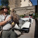 Urkunde Patenschaft Kind Vorlage Schönste Fotoshooting Mit Gefiederten Models