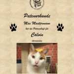 Urkunde Patenschaft Vorlage Angenehm Patenschaft