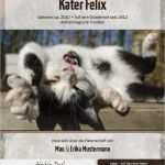 Urkunde Patenschaft Vorlage Bewundernswert Patenschaft