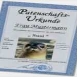Urkunde Patenschaft Vorlage Luxus Urlaubsinteressen