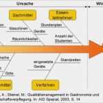 Ursache Wirkungs Diagramm Vorlage Inspiration Qualitätsmanagementhandbuch