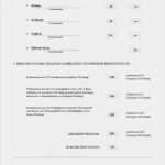 Ursprungszeugnis Ihk Vorlage Erstaunlich 26 Neu Ausbildungsnachweis Vorlage Ihk Bilder