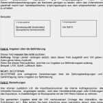 Ursprungszeugnis Ihk Vorlage Gut Bitte Lesen Sie Den Antrag Komplett Durch Auch Das