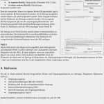 Ursprungszeugnis Vorlage Pdf Genial Das Ursprungszeugnis Erläuterungen & Hinweise Zum