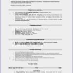 Usability Fragebogen Vorlage Fabelhaft New Usability Report Template Lf81 – Documentaries for Change