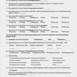 Usability Fragebogen Vorlage Hübsch Bild 1 Auszug Aus Dem Fragebogen Basa Standard Quelle