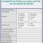 Uvv Prüfung Maschinen Vorlage Genial Leiterprüfer software Ganz Einfach Leiter Prüfen