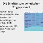 Vaterschaftstest Vorlage Bewundernswert Wir Erinnern Uns… Ppt Herunterladen