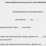 Vaterschaftstest Vorlage Cool Vaterschaftsanerkennung Durch Einen Minderjährigen Und