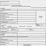 Vaterschaftstest Vorlage Elegant Berühmt formular Für Die Einverständniserklärung Der