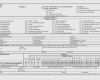 Vda 4902 Excel Vorlage Einzigartig 62 Schönste Vda Label Excel Vorlage Ideen