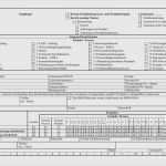 Vda 4902 Excel Vorlage Einzigartig 62 Schönste Vda Label Excel Vorlage Ideen