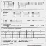 Vde 0100 Teil 600 Prüfprotokoll Vorlage Inspiration Vde 0100 Teil 600 Prüfprotokoll Excel – Werden