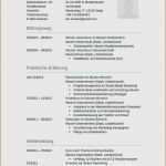 Vdi Lastenheft Vorlage Best Of 12 Wie Schreibe Ich Beispiele Vdi Muster Lebenslauf Für