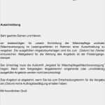 Verbindliches Angebot Vorlage Best Of 15 Angebot Ausschreibung Beispiel