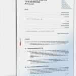 Vereinbarung überstunden Vorlage Erstaunlich Vereinbarung Erfolgshonorar Rechtsanwalt