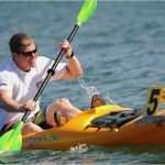 Vereinsmitgliedschaft Kündigen Vorlage Neu Kündigungsschreiben Muster Kostenlos Ruderverein Kündigen