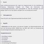 Verfahrensanweisung Vorlage Großartig Besten Der Verfahrensanweisung Muster