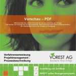 Verfahrensanweisung Vorlage Word Best Of Vorschau Pdf Verfahrensanweisung Projektmanagement