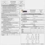 Verfahrensanweisung Vorlage Wunderbar Expertenstandards