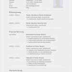 Verfahrensdokumentation Muster Vorlage Erstaunlich Lebenslauf Muster Für Programmierer