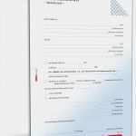 Vergleich Vorlage Schulden Cool Schuldanerkenntnis Deklaratorisch