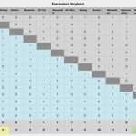 Vergleich Vorlage Schulden Schön Nutzwertanalyse Und Paarweiser Vergleich Für Kamerakauf