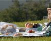 Vergleichsangebot Vorlage Schön Mörwald Catering Aus Niederösterreich
