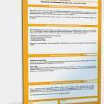 Verhalten Bei Unfällen Vorlage Inspiration Betriebsanweisung