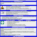 Verhalten Bei Unfällen Vorlage Schönste Betriebsanweisung Kniehebelpresse sofort Download