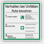 Verhalten Bei Unfällen Vorlage Schönste Sicherheitsaushänge "verhalten Bei Unfällen"