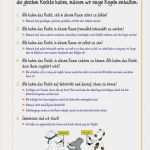 Verhaltensanalyse Vorlage Cool sopäd Arbeitshilfen Diagnostik Und Förderung