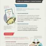 Verhaltensanalyse Vorlage Schön Die Besten 25 Operante Konditionierung Ideen Auf