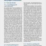 Verhaltensanalyse Vorlage Wunderbar Fachbücher software Und Dvds