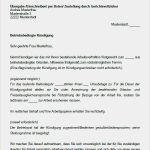Verhaltensbedingte Abmahnung Vorlage Erstaunlich 42 Abmahnungen Und Kündigungsschreiben Im Paket