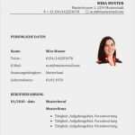 Verhandlungsprotokoll Einkauf Vorlage Beste Lebenslauf Vorlage Einkäufer Textilbranche