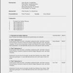 Verhandlungsprotokoll Vorlage Best Of Protokoll Vorlage Word &amp; Excel Kostenlos