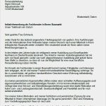 Verkäufer Bewerbung Vorlage Angenehm Bewerbung Baumarkt Vorlage