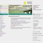 Verlustmeldung Hörgerät Vorlage Beste Kfz Zulassung Nürtingen Was Benötige Ich Rue25 Blog