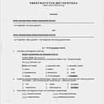 Vermieterfreundlicher Mietvertrag Vorlage Großartig formular Mietvertrag