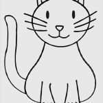 Vermisstenanzeige Katze Vorlage Bewundernswert Ausgezeichnet Katze Gesicht Vorlage Ideen Beispiel