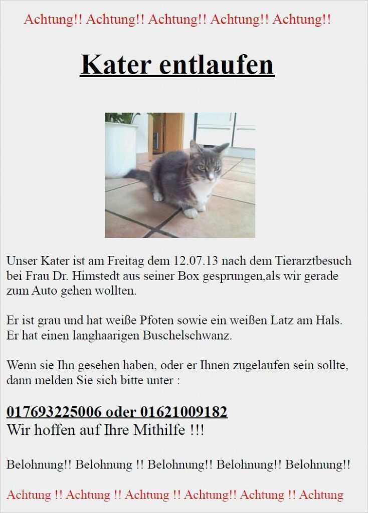 Vermisstenanzeige Katze Vorlage Schönste Vermisst