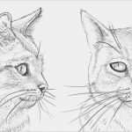 Vermisstenanzeige Katze Vorlage Wunderbar Ausgezeichnet Katze Gesicht Vorlage Ideen Beispiel