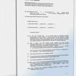 Vermögensverzeichnis Vorlage Beste Testament Mit Testamentsvollstrecker • De Testament Download