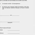 Vermögensverzeichnis Vorlage Bewundernswert Vermögensverzeichnis Zur Vorlage Beim Insolvenzgericht