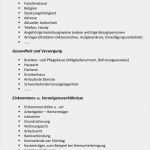 Vermögensverzeichnis Vorlage Wunderbar Grundlagen Der Rechtlichen Betreuung Eine