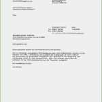 Versicherung Anschreiben Vorlage Großartig Anschreiben Bewerbung Versicherung Muster Interne Profil 7