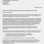 Versicherung Anschreiben Vorlage Schönste Bewerbung Schadenregulierer Ungekündigt