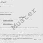 Versicherungsmakler Mandat Kündigen Vorlage Hübsch Kundigung Steuerberater Muster Kündigung Steuerberater